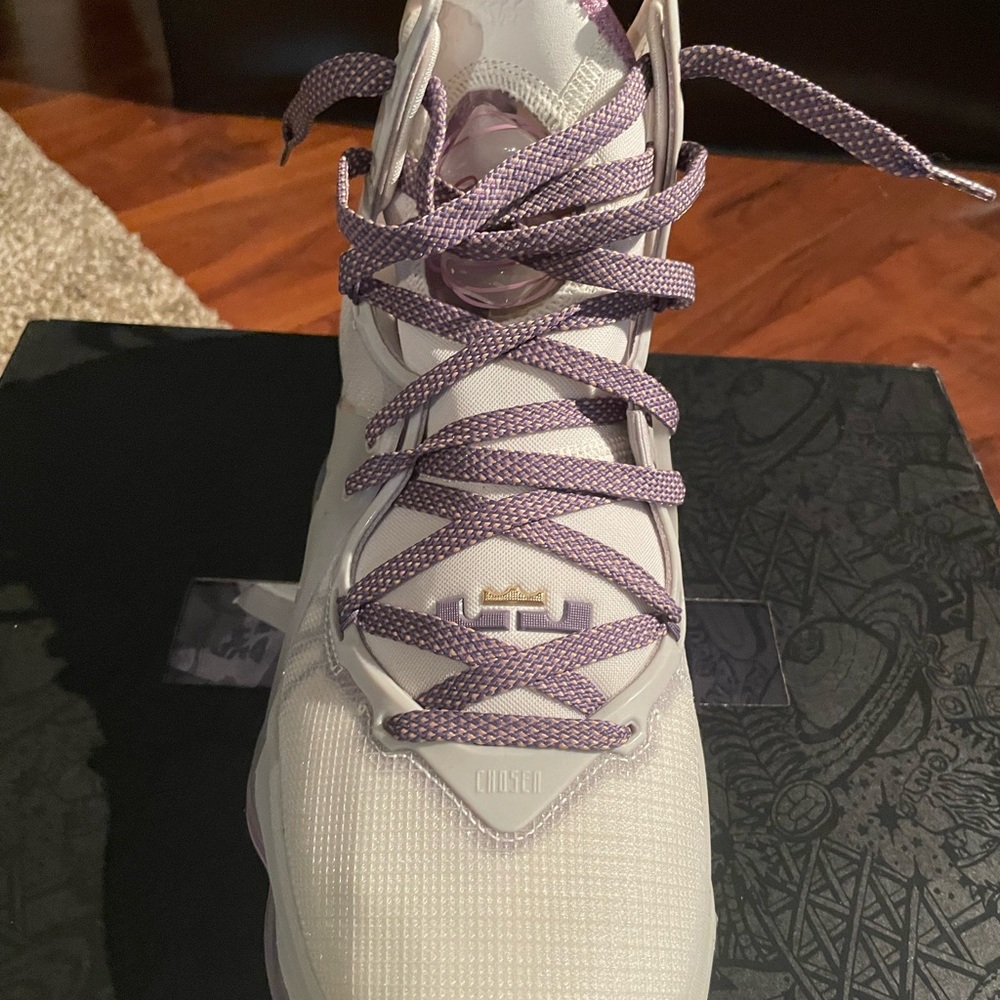 LeBron Nikes
